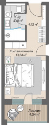 1 к. квартира, Шермонт 1 очередь, ул. Весенняя, д. 62,  кв. 525, пд.1, эт. 5/10, 24.49 м², 11 402 000 ₽, (465 578 ₽/м²)